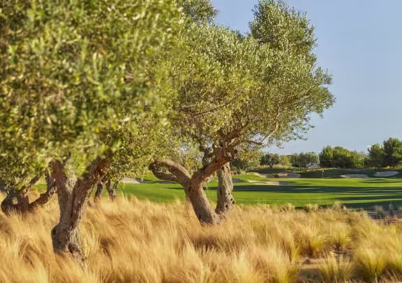 Image Golf Infinitum - Lakes